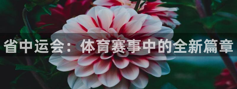 悟空体育网页版官网：省中运会：体育赛事中的全新篇章