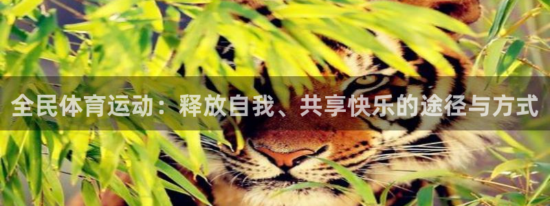 悟空体育官网快速入口：全民体育运动：释放自我、共享快乐的途径与方式