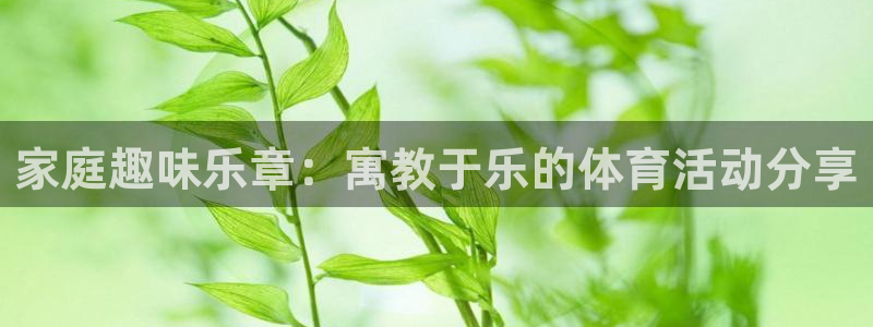 悟空体育莆田：家庭趣味乐章：寓教于乐的体育活动分享
