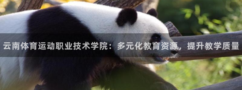 悟空体育入口：云南体育运动职业技术学院：多元化教育资源，提升教学质量
