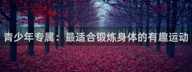 悟空体育莆田鞋怎么样：青少年专属：最适合锻炼身体的有趣运动