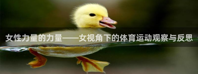 悟空体育之家：女性力量的力量——女视角下的体育运动观察与反思